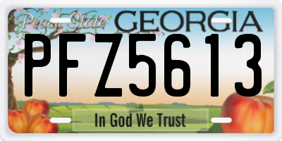 GA license plate PFZ5613