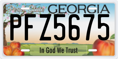 GA license plate PFZ5675