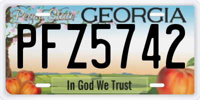 GA license plate PFZ5742