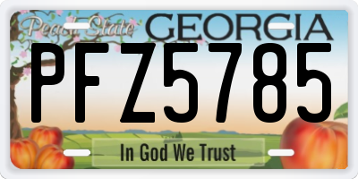 GA license plate PFZ5785