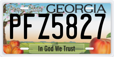 GA license plate PFZ5827