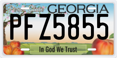 GA license plate PFZ5855
