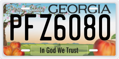 GA license plate PFZ6080