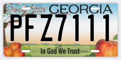 GA license plate PFZ7111