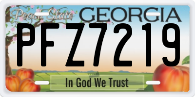 GA license plate PFZ7219