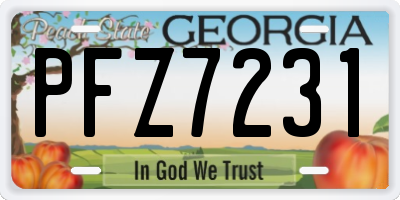 GA license plate PFZ7231