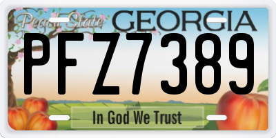 GA license plate PFZ7389