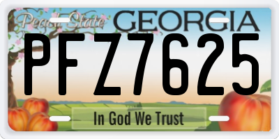 GA license plate PFZ7625