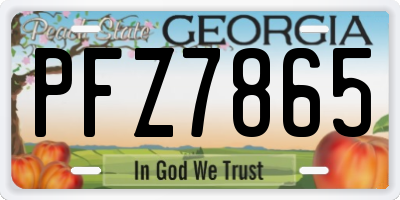 GA license plate PFZ7865
