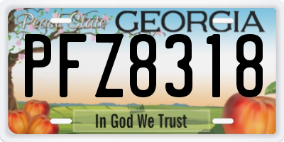 GA license plate PFZ8318