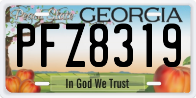 GA license plate PFZ8319