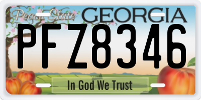 GA license plate PFZ8346