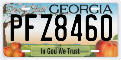 GA license plate PFZ8460
