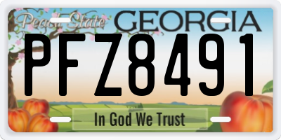 GA license plate PFZ8491