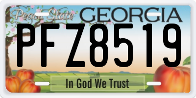 GA license plate PFZ8519