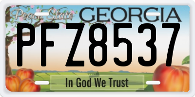 GA license plate PFZ8537