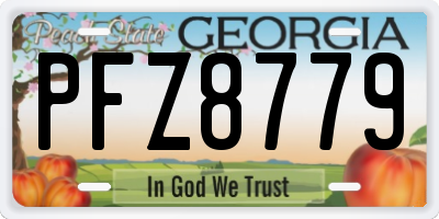 GA license plate PFZ8779