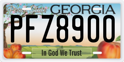 GA license plate PFZ8900