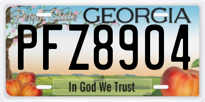 GA license plate PFZ8904