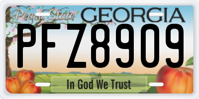 GA license plate PFZ8909