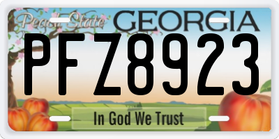 GA license plate PFZ8923