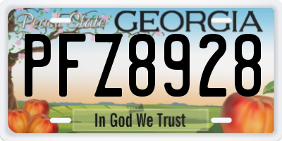 GA license plate PFZ8928