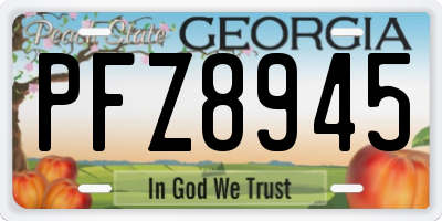 GA license plate PFZ8945