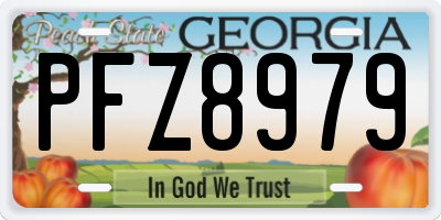 GA license plate PFZ8979