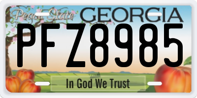 GA license plate PFZ8985