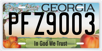 GA license plate PFZ9003