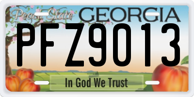 GA license plate PFZ9013