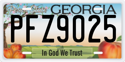 GA license plate PFZ9025