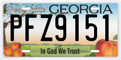 GA license plate PFZ9151
