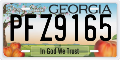 GA license plate PFZ9165