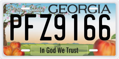 GA license plate PFZ9166