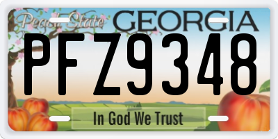 GA license plate PFZ9348