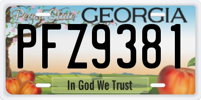 GA license plate PFZ9381