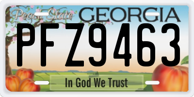GA license plate PFZ9463