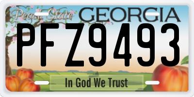 GA license plate PFZ9493