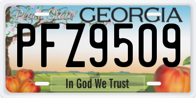 GA license plate PFZ9509