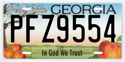 GA license plate PFZ9554
