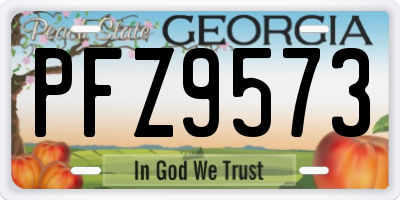GA license plate PFZ9573