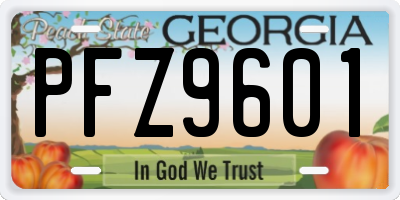GA license plate PFZ9601