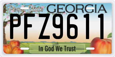 GA license plate PFZ9611