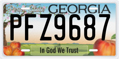 GA license plate PFZ9687