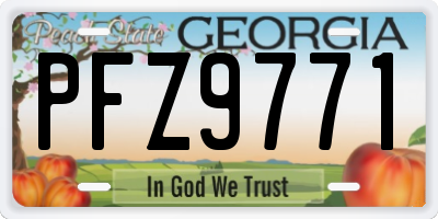 GA license plate PFZ9771