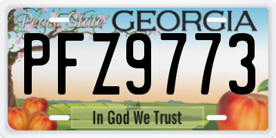 GA license plate PFZ9773