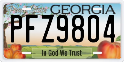 GA license plate PFZ9804