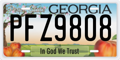 GA license plate PFZ9808