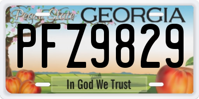 GA license plate PFZ9829